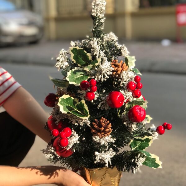 Cây thông Mini 45cm (mẫu 2)