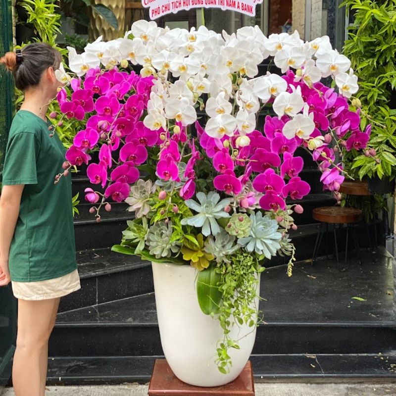 1-1-3.jpg Giá Chậu Lan Hồ Điệp 20 Cành, Bình Hoa Hồ Điệp Tím và Trắng Mix Sen Đá Phủ Full Gốc Tặng Sinh Nhật Sếp Nữ - Image 1