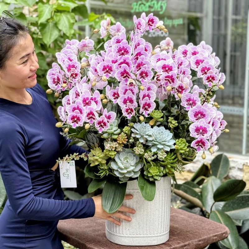 1-3-3.jpg Chậu Lan Hồ Điệp Mini Tím Đốm Hay Còn Gọi Là Tiểu Hồ Điệp – Mẫu Hoa Đẹp Tặng Phụ Nữ - Image 1