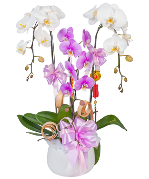 11130_van-hanh.png Vạn hạnh - Image 1
