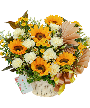 11607_ngan-anh-duong.png Chậu lan vàng 20 cành - Image 1