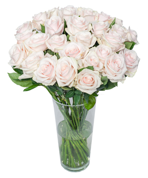 11672_binh-hong-da.jpg Romance 3 - Image 1