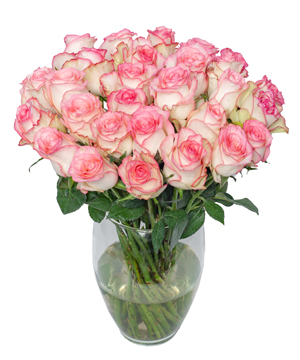 11678_binh-hong-song-hy-co.jpg Roseberry - Image 1