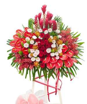 13106_vinh-danh.jpg Vinh Danh - Image 1