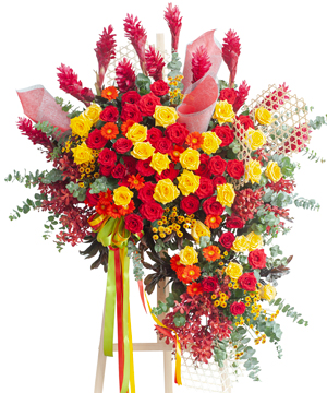13113_dinh-cao.jpg Đỉnh cao - Image 1