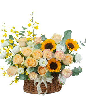 13592_freedom.jpg Me before you - Image 1