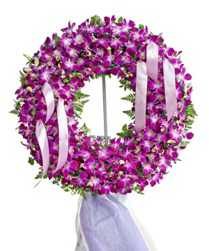 15460_ke-lan-thai-tim.jpg Kệ lan thái tím - Image 1