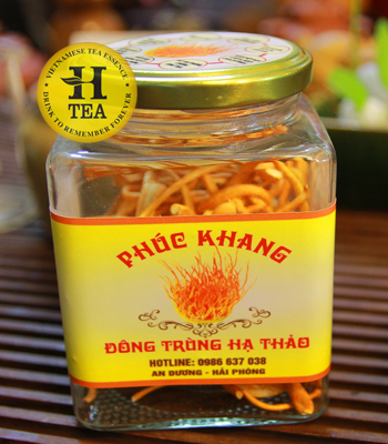 1660185300-tradongtrunghathaohtea01.png Đông Trùng Hạ Thảo - Image 1