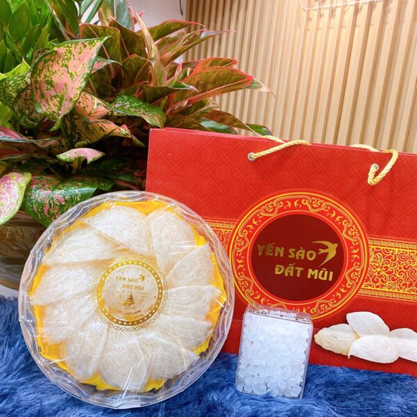 Bạch Yến Sào Tinh Chế Cao Cấp – Hộp 100gr