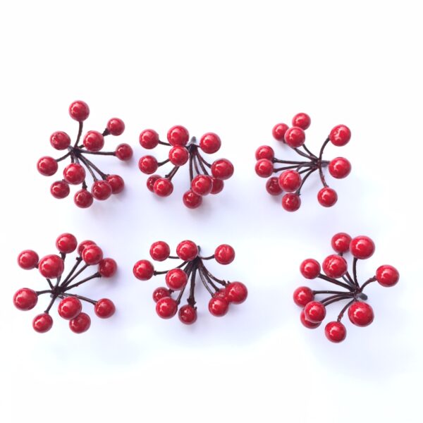 Chùm quả cherry