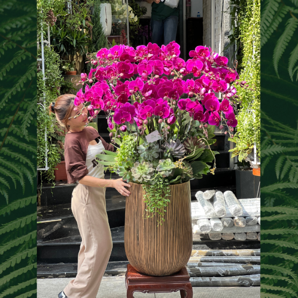 23-1-600x600-1.png Mẫu Bình Hoa Lan Khai Trương Tím Đậm Mix Sen Đá Hot Nhất - Image 1