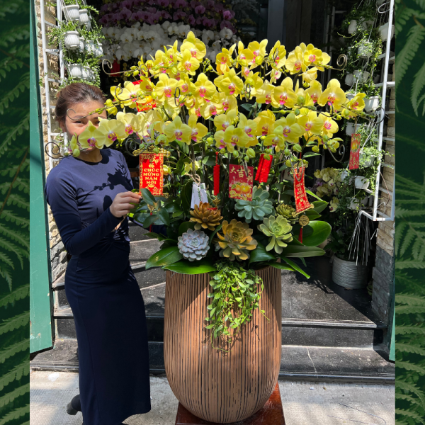 35-600x600-1.png Chậu Lan Khai Trương Vàng Rực Rỡ Mix Sen Đá Decor Đại Cát Đại Lợi - Image 1