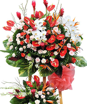 5303_su-nghiep-tan-toi.jpg Sự Nghiệp Tấn Tới - Image 1