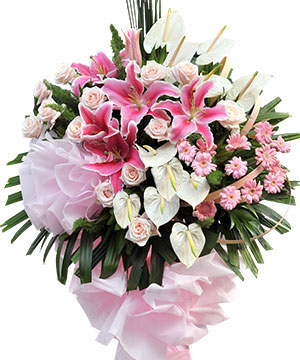 5526_thinh-phat.jpg Thịnh Phát - Image 1