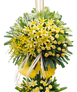 6910_tuong-lai-tuoi-sang.png Tương Lai Tươi Sáng - Image 1
