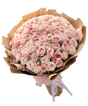 7240_pink-lady.png Pink Lady - Image 1