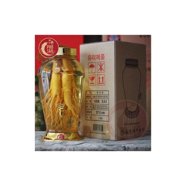Bình ngâm nhân sâm hàn quốc 5,5lit có van 5 củ sâm to bình số 109