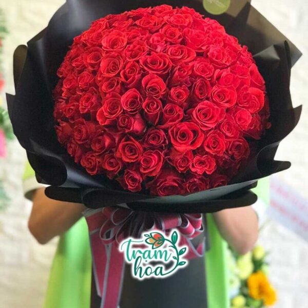 100 Bông Hồng Đỏ