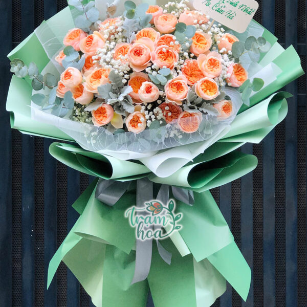 Cảm Nắng