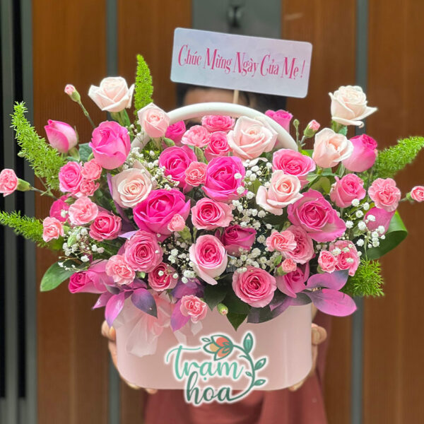 Ngày Của Mẹ