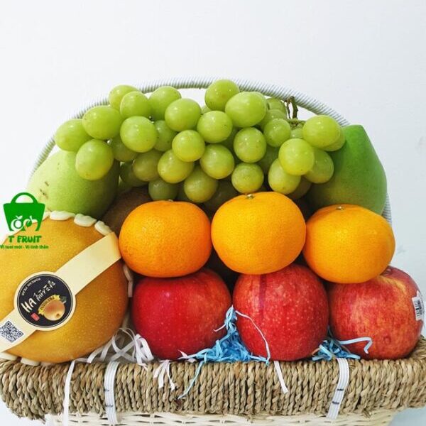 Giỏ trái cây GQTC2