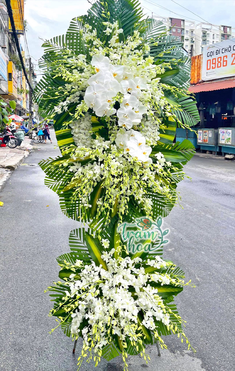 Hoa-Chia-Buon-TH-CB055-Khuc-Ca-Du-Duong.jpg Khúc Ca Du Dương - Image 1