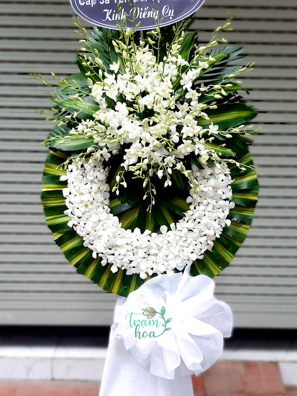 Hoa-Chia-Buon-TH-CB059-Phu-Du.jpg Phù Du - Image 1