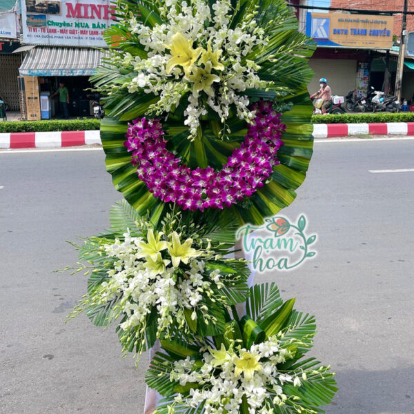 An Nghỉ