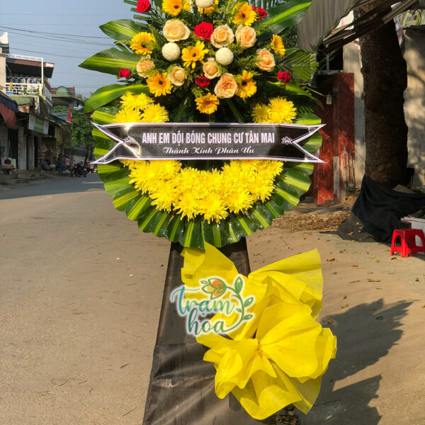 Thương Tiễn