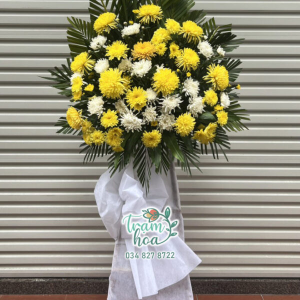 Thành Tâm 2