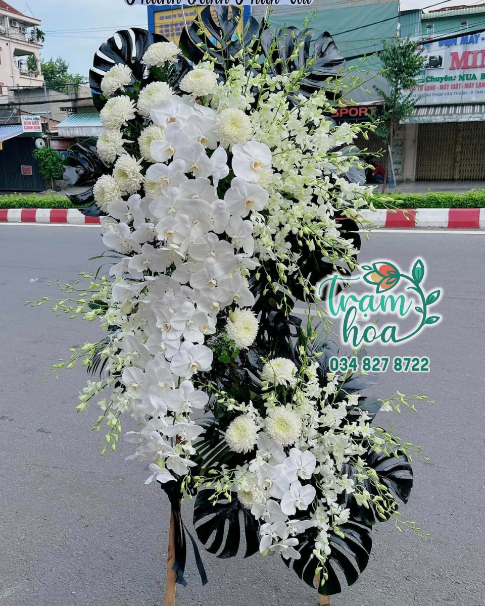 xr:d:DAFuDRlpIVs:166,j:6536259322434992518,t:23112601 Chân Trời - Image 1