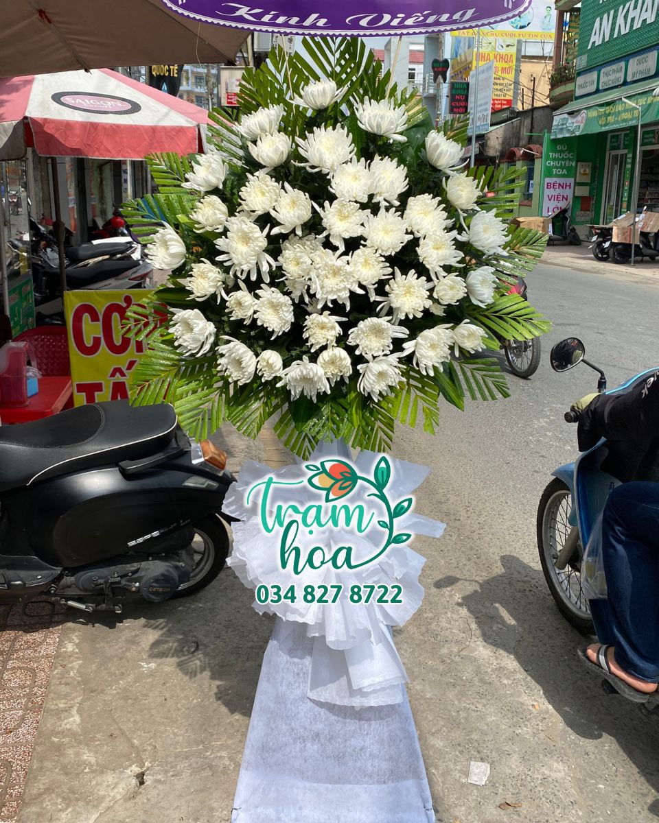 xr:d:DAF1yNMBnX4:68,j:1665621533528773275,t:24011513 Thành Tâm 3 - Image 1