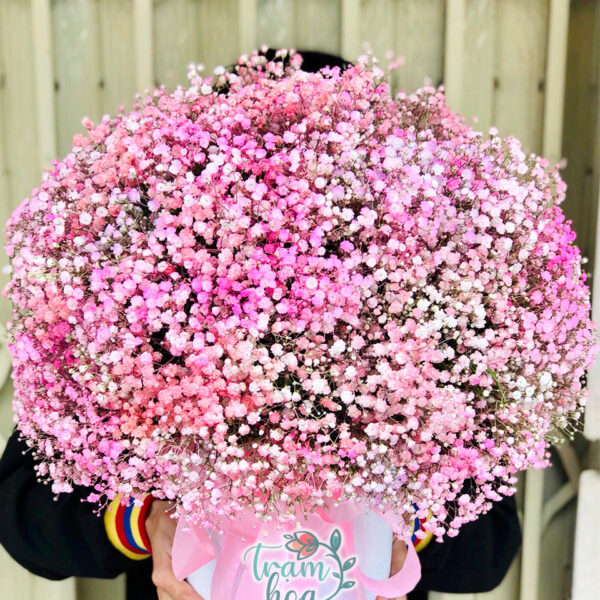 Lẵng Hoa Baby Hồng