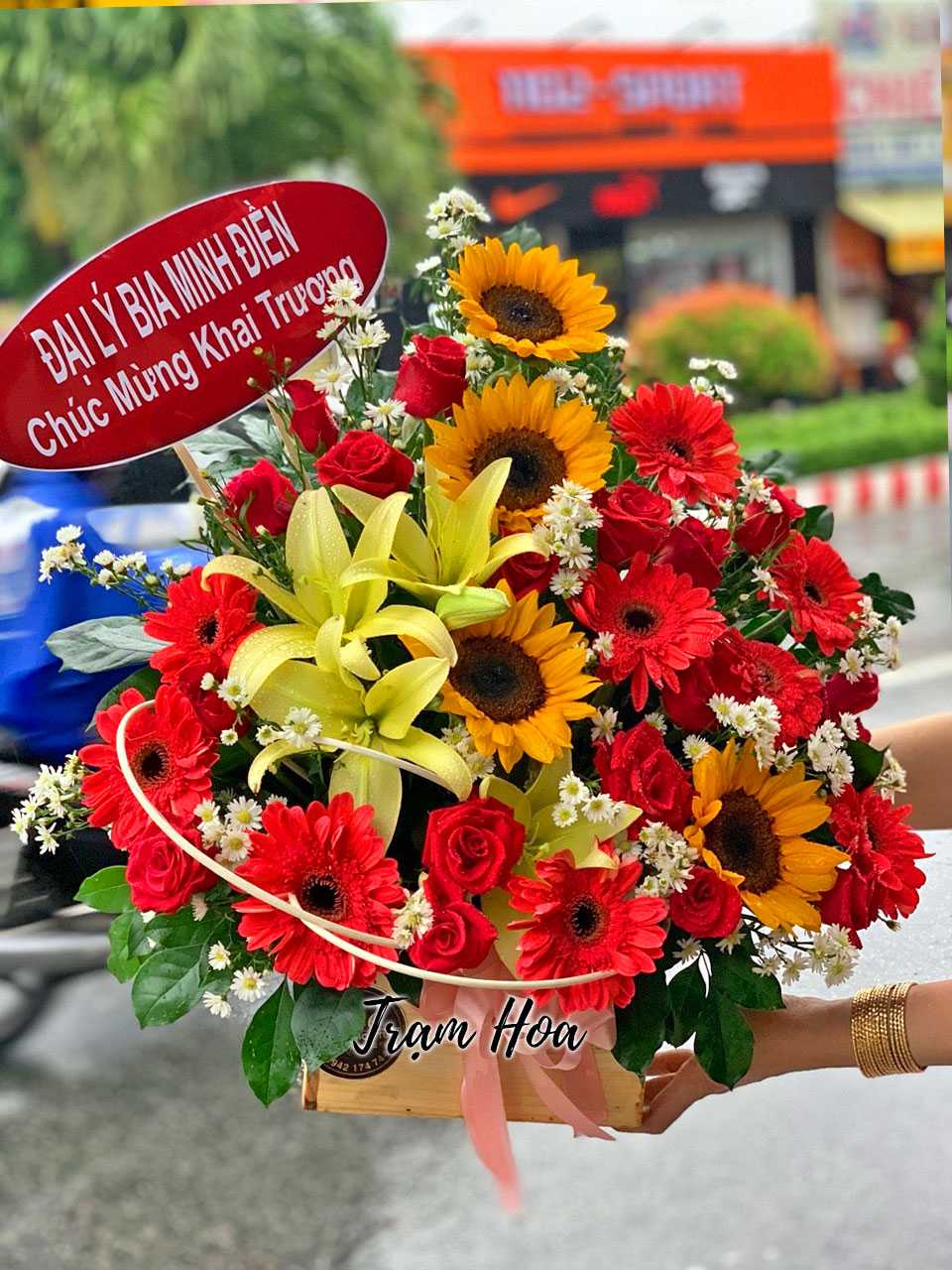 Hoa-Hop-Go-TH-H073.jpg Đồng Tiền - Image 1
