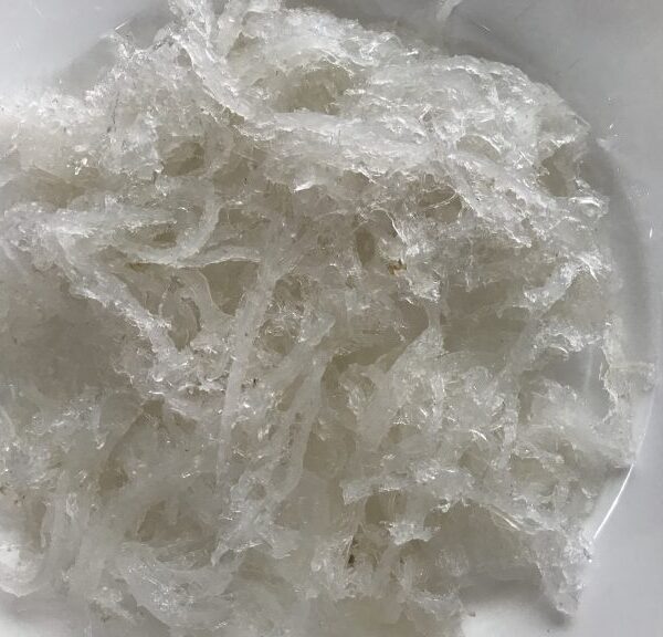 Bạch Yến Tươi