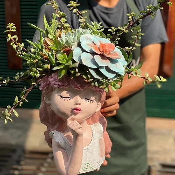 “Hoa Đẹp 8 3”-Bình Hoa Sen Đá Đầu Cô Gái Được Phụ Nữ Yêu Thích