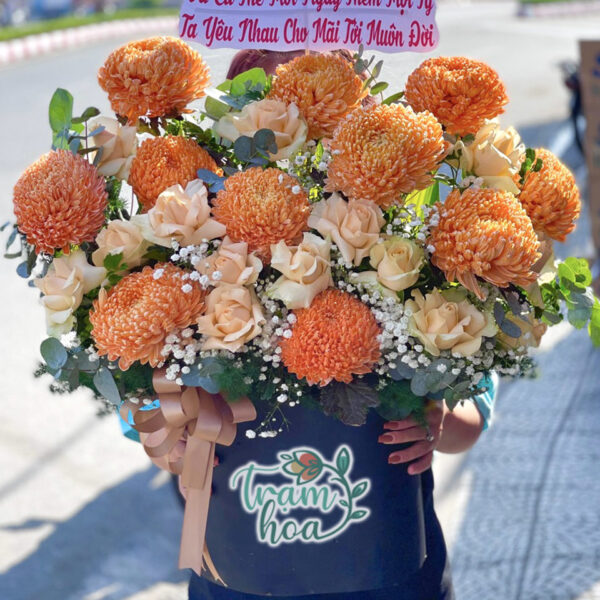 Ánh Cam