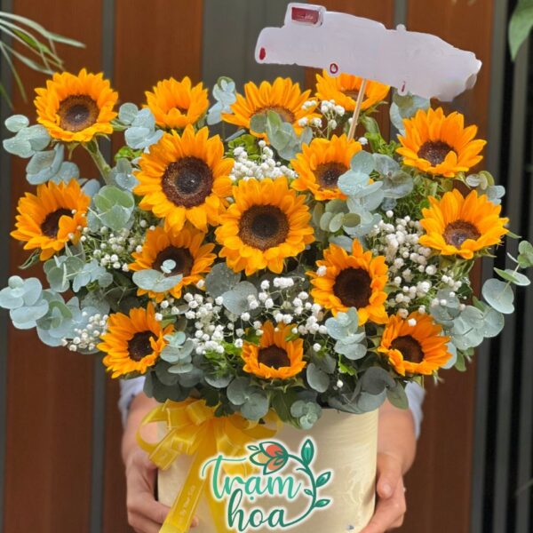 Ánh Dương Sớm