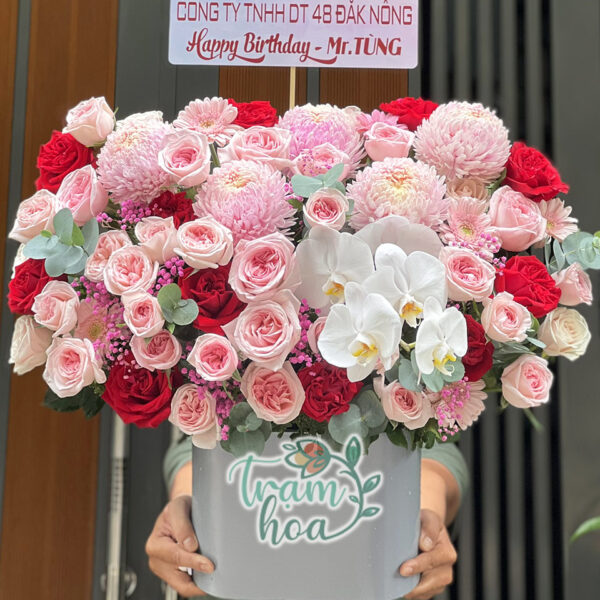 Sắc Xuân Tươi Thắm
