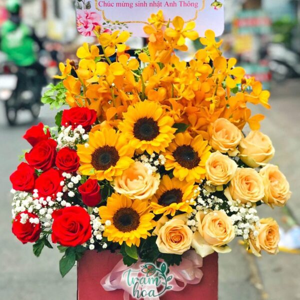 Nắng Mới