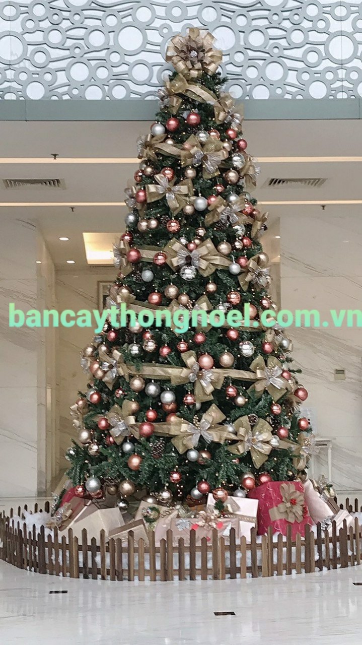Mau-4.jpg Cây thông 3 loại lá gắn trái thông 4m5 - Image 1