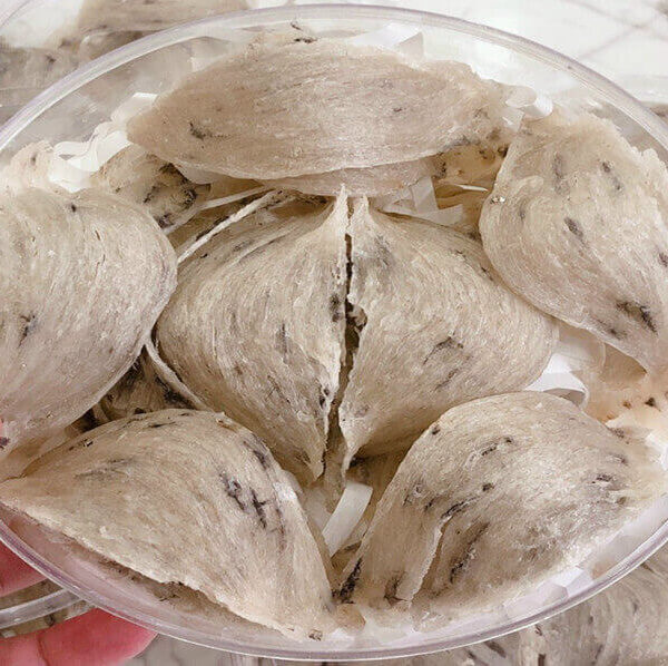 100gr Yến Thô loại 1, kèm đường phèn, túi xách, cẩm nang hướng dẫn sử dụng