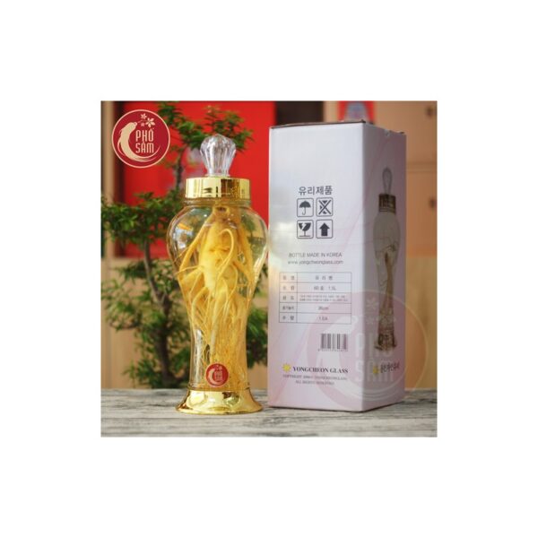 Bình ngâm sâm hàn quốc 1,5 lít 1 Củ sâm tươi to bình N60