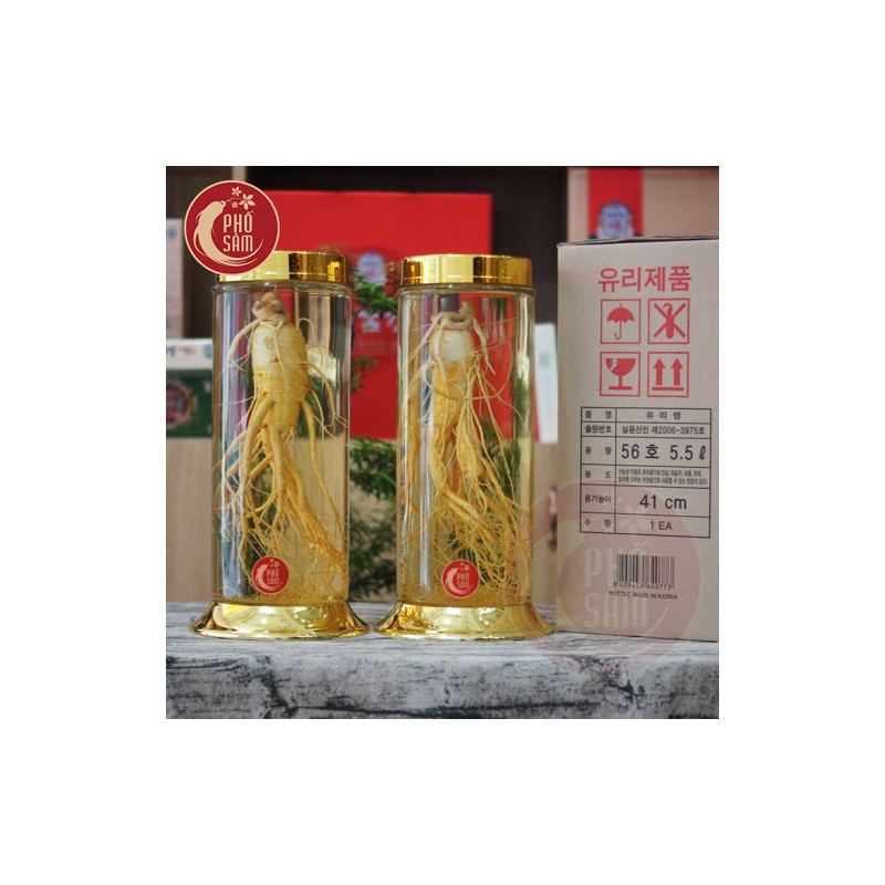anh-dai-dien-binh-sam-2cu-No56.jpg Cặp bình ngâm sâm hàn quốc 5,5 lít thân dài độc đáo bình No56 - Image 1