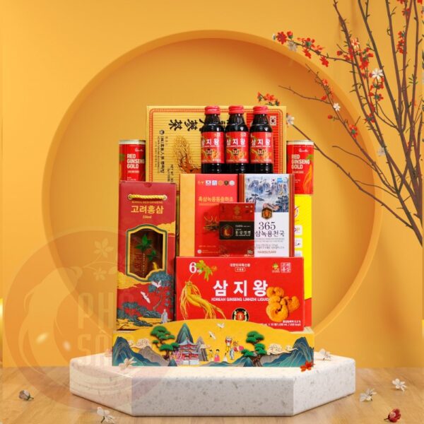 Giỏ Quà Tết Cao Cấp Sức Khoẻ CBMIX11-B8-G1480