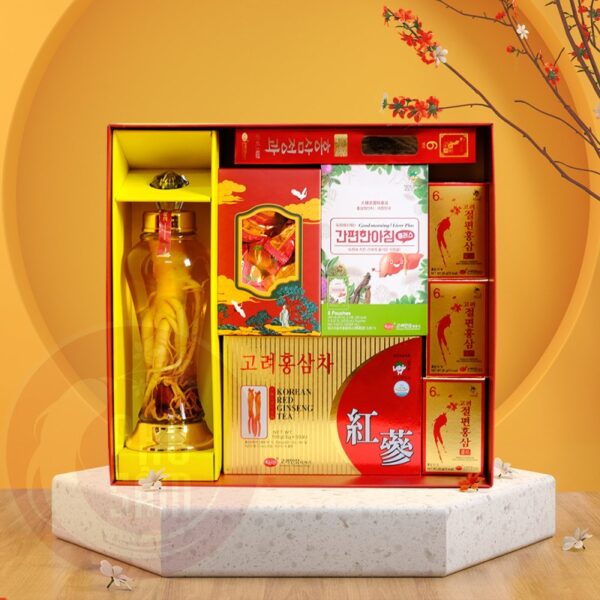 Hộp Quà Tết Cao Cấp Sức Khoẻ CBS5-52-H1950