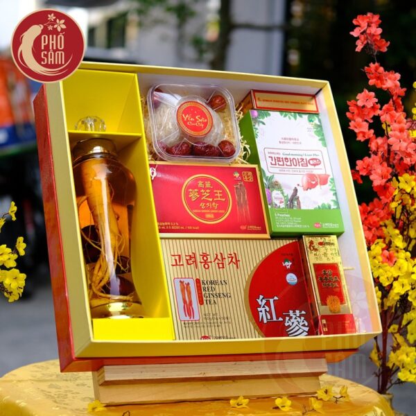 Hộp Quà Tết Sức Khoẻ Hồng Sâm NPS51 - H2450