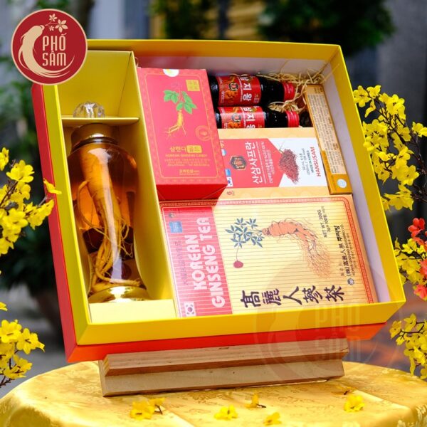 Hộp Quà Tết Sức Khoẻ Hồng Sâm NPS59 - H1220