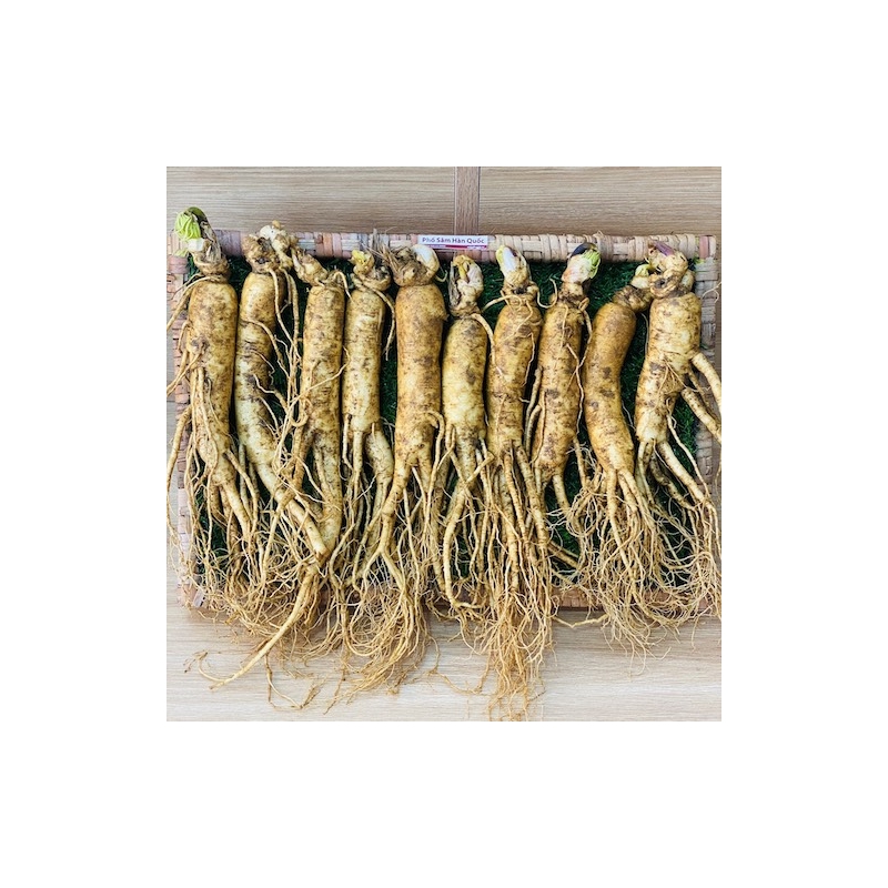 anh-dai-dien-sam-tuoi-10-cu-kg-phosam-1.jpg Sâm Tươi Hàn Quốc 10 củ 1kg - Image 1