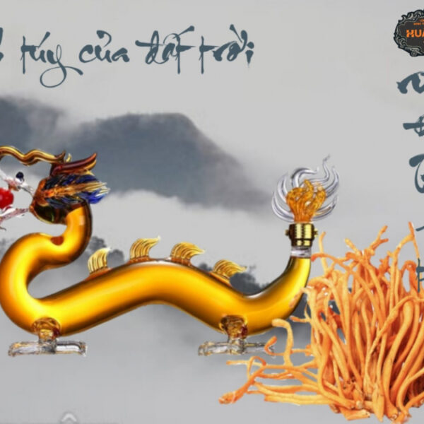 Rượu đông trùng hạ thảo bình rồng